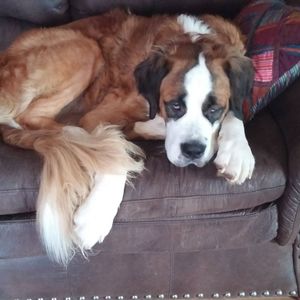 Meet your Posher, Jann