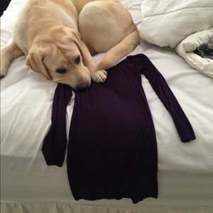 Sexy Plum Boohoo Off the Shoulder Dress