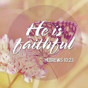 Meet your Posher, Elisabeth