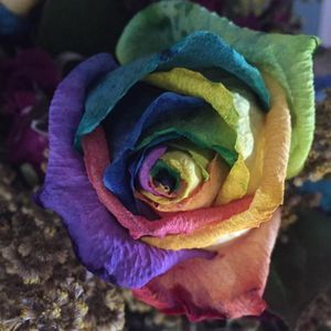 Meet your Posher, Cathy