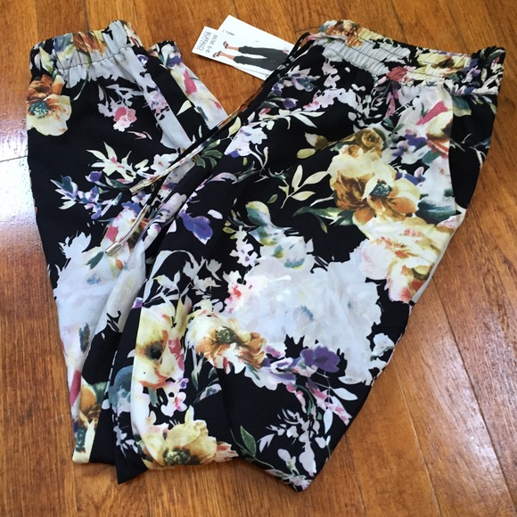 buffalo pants david bitton