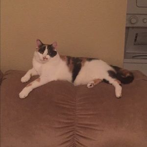 Meet your Posher, Janessa