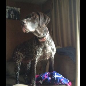 Meet your Posher, Danielle