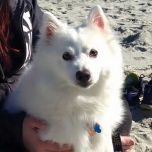 Meet your Posher, Patricia