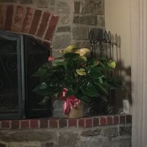 Meet your Posher, Teresa