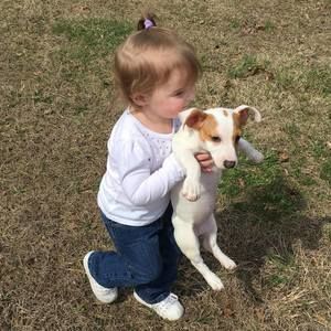 Meet your Posher, Gina cline