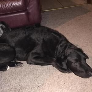 Meet your Posher, Theresa