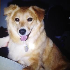 Meet your Posher, Paul