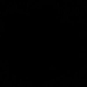 Meet your Posher, Alonzo