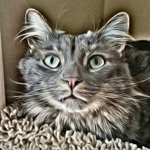 Meet your Posher, Tara