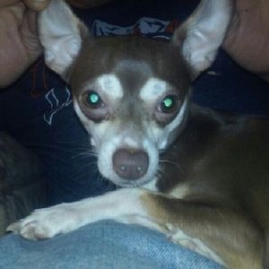 Meet your Posher, Yolanda