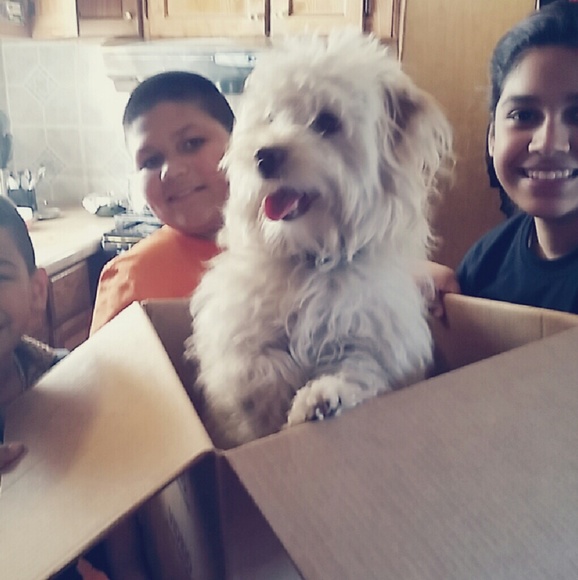 Meet your Posher - Picture 4 of 4