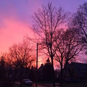 Meet your Posher, Damia