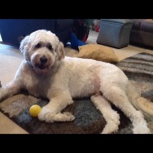 Meet your Posher, Kristen