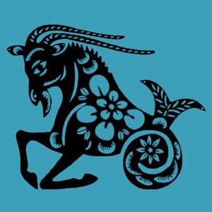 Meet your Posher, Dixie