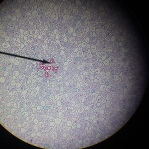 Meet your Posher, Aimee