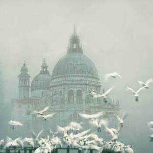 Meet your Posher, Missy