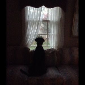 Meet your Posher, Sidney