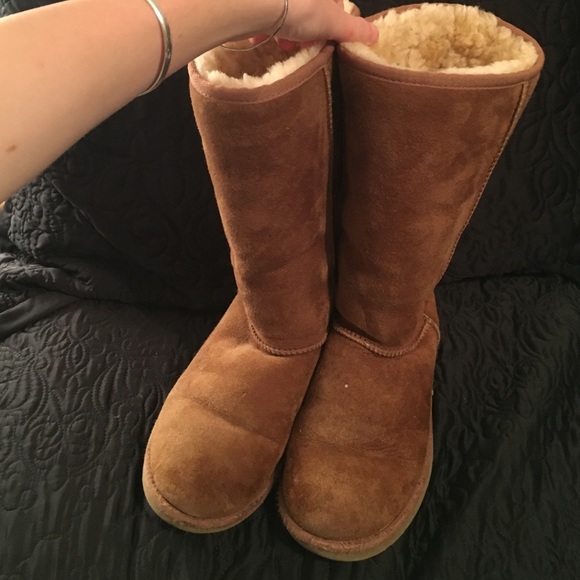 Tall Chestnut Uggs