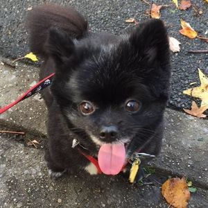 Meet your Posher, Mina