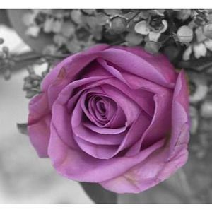 Meet your Posher, Mai