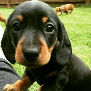 Meet your Posher, Estefania