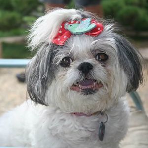 Meet your Posher, Beverly