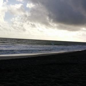 Meet your Posher, Marlene navish