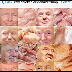 Meet your Posher, Deenah