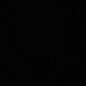 Meet your Posher, Stanleeya