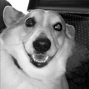 Meet your Posher, Tara