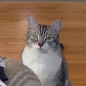 Meet your Posher, Judith