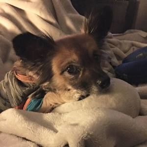 Meet your Posher, Nikki