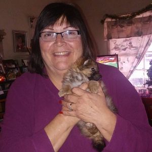 Meet your Posher, Arlene