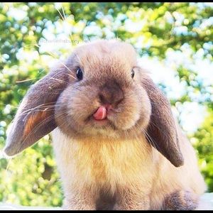 Meet your Posher, Alison