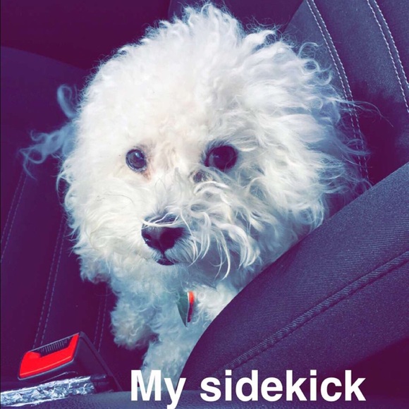 Meet your Posher, Michelle - Picture 2 of 4