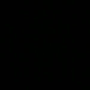 Meet your Posher, Minnie