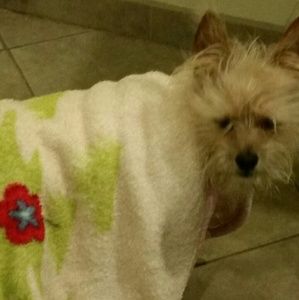 Meet your Posher, Sarah