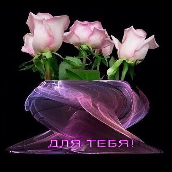 Meet your Posher, Najiba