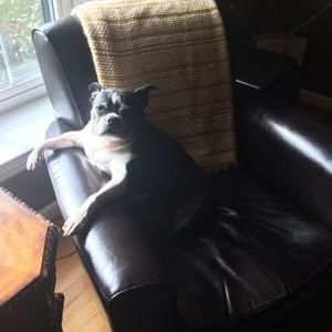 Meet your Posher, Kristin