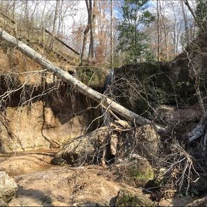 Meet your Posher, Danya