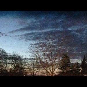 Meet your Posher, Mackenzie