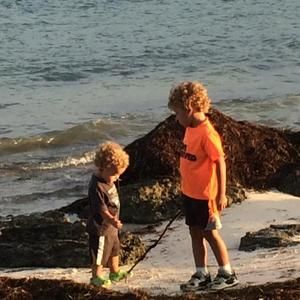 Meet your Posher, Anne