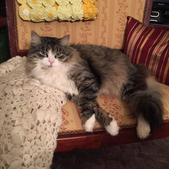 Meet your Posher, Sherry
