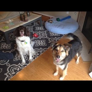 Meet your Posher, Deanna