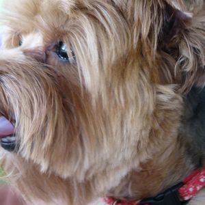 Meet your Posher, Sherry