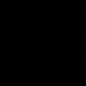 Meet your Posher, Lynn