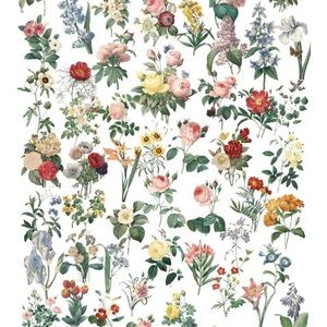 Meet your Posher, Leslie