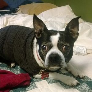 Meet your Posher, Connie