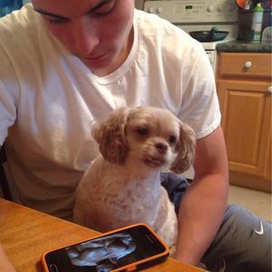 Meet your Posher, Lisa